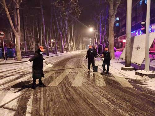 雪天里，洛阳公交人抗击疫情的最美风景 